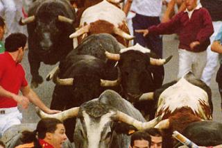 La polmica sobre las celebraciones taurinas en Sanse, este mircoles en Hoy por Hoy Madrid Norte.