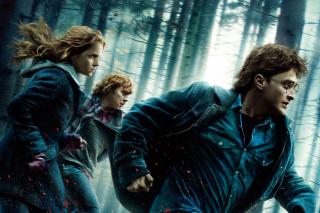 Harry Potter y las Reliquias de la Muerte. Estreno de Cine (Otoo 2010)