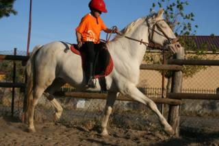 Nios tutelados aprenden a convivir mediante el conocimiento de caballos. Foto: Escuela de Pequeos Domadores Naturalmente