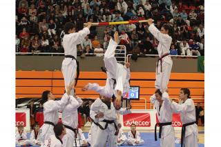 Gran xito del V Open de Taekwondo de la regin celebrado en Alcobendas
