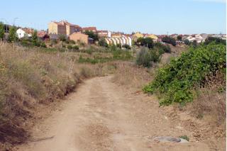 Paracuellos repara los caminos del Lavadero y el Arroyo de las Huertas. 