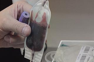 Alcobendas se convierte en una unidad de donacin de sangre