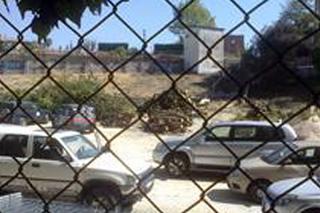 Una asociacin ecologista denuncia una tala de rboles indiscriminada en Alcobendas aunque el Ayuntamiento lo niega