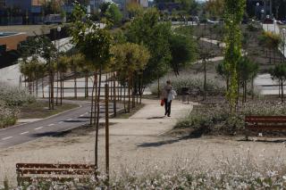 Medio Ambiente de Sanse aclara que los parques del municipio ahorran agua 