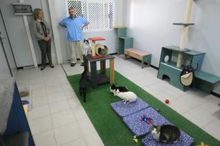 Tres Cantos aprueba la nueva ordenanza municipal sobre proteccin y tenencia de animales de compaa.