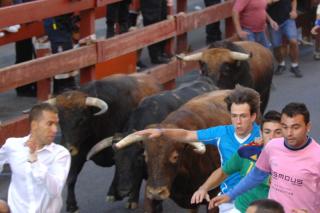 El pleno municipal de San Sebastin de los Reyes declara Patrimonio Cultural Inmaterial las fiestas de los toros