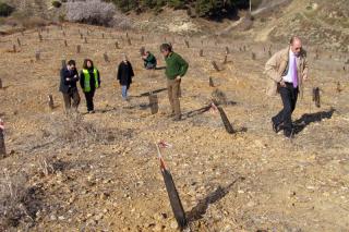 Responsables municipales, de Aena y Afanias visitaron las parcelas reforestadas.
