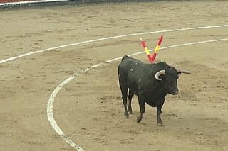 Un aficionado a los toros se enfrenta a la peticin de dos aos de crcel por atentar contra la autoridad (Foto Archivo).