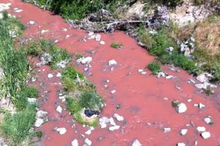 Medioambiente investiga un vertido en el Arroyo de la Vega de Alcobendas realizado presuntamente por una empresa. Foto: @JuanbaGalan