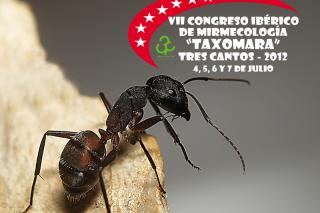 Tres Cantos acoge el congreso nacional sobre hormigas Taxomara 2012