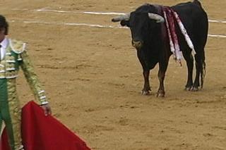 La Feria de los Remedios de Colmenar Viejo contar con dos corridas de toros este ao.