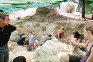 Cientos de voluntarios pasan el verano restaurando yacimientos arqueolgicos para el disfrute de todos.