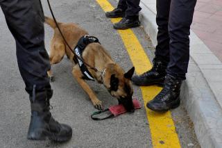 La consejera de Presidencia asiste a una demostracin sobre deteccin de drogas de la unidad canina de la Polica de Algete