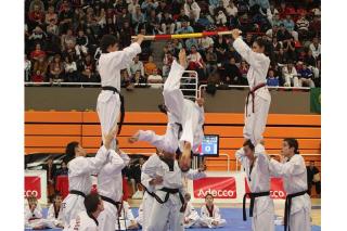 Alcobendas se convierte desde este mircoles en la gran sede del taekwondo