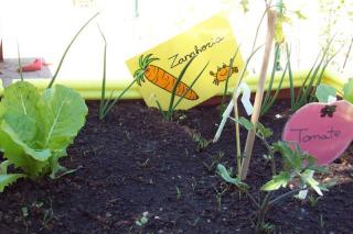 Un taller de Alcobendas ensea cmo cultivar acelgas, lechugas, rbanos o espinacas en casa
