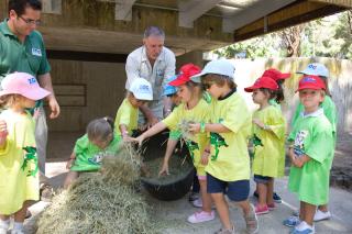 Campamentos infantiles de verano entre animales y naturaleza