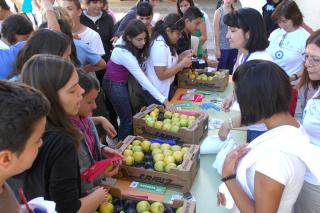 San Sebastin de los Reyes demuestra que sus alumnos estn educados para la Salud 