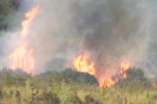 Los bomberos extinguen un incendio forestal en Colmenar Viejo.