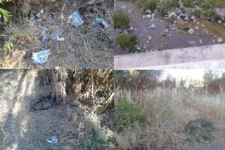 Una asociacin ecologista denuncia el abandono de la ribera del Arroyo de la Vega en Alcobendas.