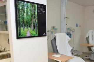 Fotografias para los pacientes de oncologa del hospital Infanta Sofa