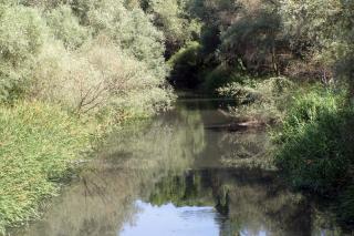 Ecologistas en Accin denuncia el abandono de humedales en toda la regin