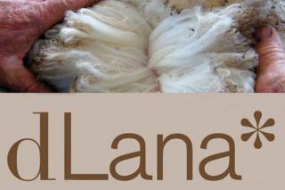 Recuperar la lana como objetivo de negocio sostenible.