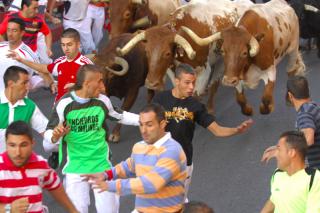 3000 corredores en el encierro del da grande en las Fiestas de San Sebastin de los Reyes