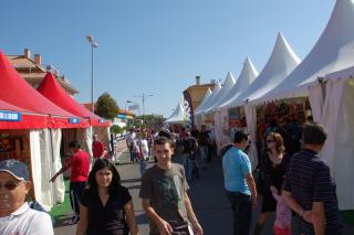 33 pequeos y medianos empresarios participan en la Feria del Comercio y las Oportunidades de Colmenar