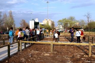 Alcobendas entrega los huertos urbanos municipales a las 42 familias y asociaciones adjudicatarias