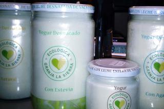 Los mejores yogures ecolgicos, 100% naturales