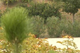 El ayuntamiento de Alcobendas subvencionar la instalacin de riego eficiente en zonas verdes de comunidades abiertas al pblico