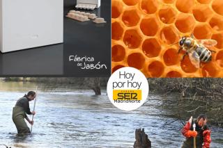 Preocupacin ecologista, propiedades de la miel y jabn sostenible, este lunes en Hoy por Hoy Madrid Norte