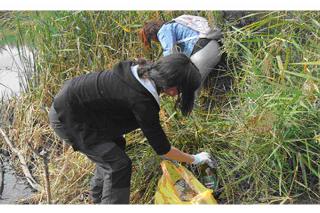 ACA prepara con voluntarios una nueva jornada de limpieza en el ro Guadalix
