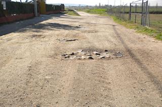 El Ayuntamiento de Sanse inicia obras de conservación y mejora en los caminos del término municipal