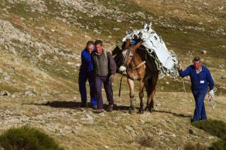 Unas mulas retiran los restos de una avioneta siniestrada en la Bola del Mundo