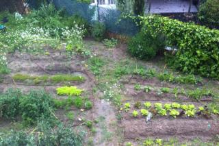 Alcobendas nos invita a cultivar un huerto en nuestra propia terraza