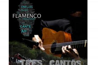 Tres Cantos acoge su quinto Concurso Nacional de Flamenco