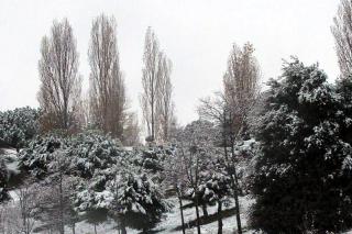El Ayuntamiento de Colmenar Viejo ya tiene preparado su protocolo de actuacin en caso de nevadas 