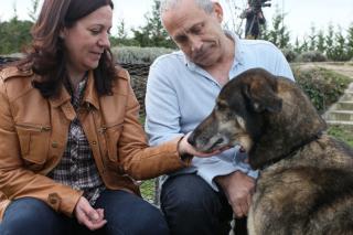 El Centro de Acogida de Colmenar Viejo entrega en adopcin a Chacho su perro ms veterano