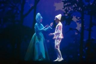 Un musical basado en el cuento de Pinocho llega este sbado al teatro de El Escorial