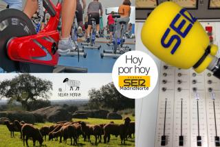 Hbitos saludables para no ser la oveja negra de la familia, este lunes en Hoy por Hoy Madrid Norte