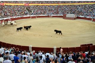 El Ayuntamiento de Colmenar Viejo saca su plaza de toros a concurso