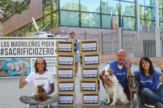 El sacrificio cero de animales abandonados se debatirá en el pleno de la Asamblea de Madrid