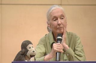 Jane Goodall repasa en Alcobendas sus 5 décadas investigando a los primates