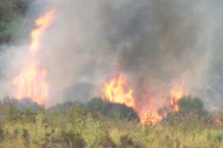 La Comunidad establece normas para el uso de maquinaria agrícola para evitar incendios forestales