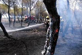 La rápida actuación de los bomberos evita la propagación de un incendio en San Sebastián de los Reyes