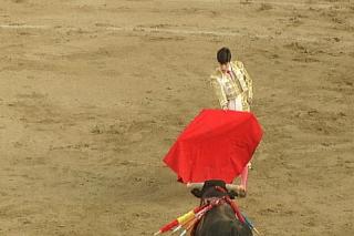 El pleno de San Sebastián de los Reyes debatirá este jueves la situación de las corridas de toros