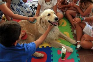 Tres Cantos celebra su Feria de Mascotas para concienciar sobre la tenencia responsable de animales