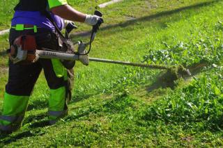 Sanse no utilizará herbicidas químicos para el mantenimiento de las zonas verdes
