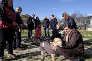 El centro integral de acogida de animales de Colmenar ya aplica el ‘sacrificio cero’ para las mascotas abandonadas